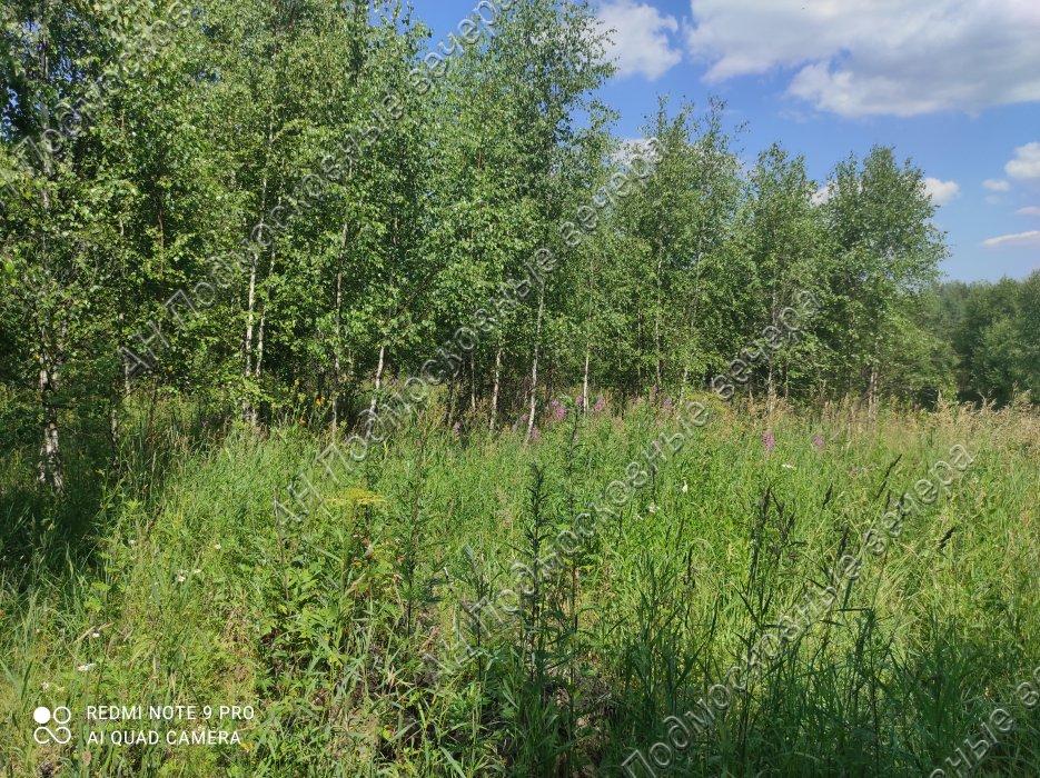 Участок на продажу в Ростовцево, Луговая улица фото №3