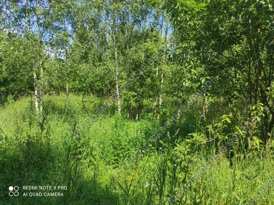 Участок на продажу в Ростовцево, Луговая улица фото №5