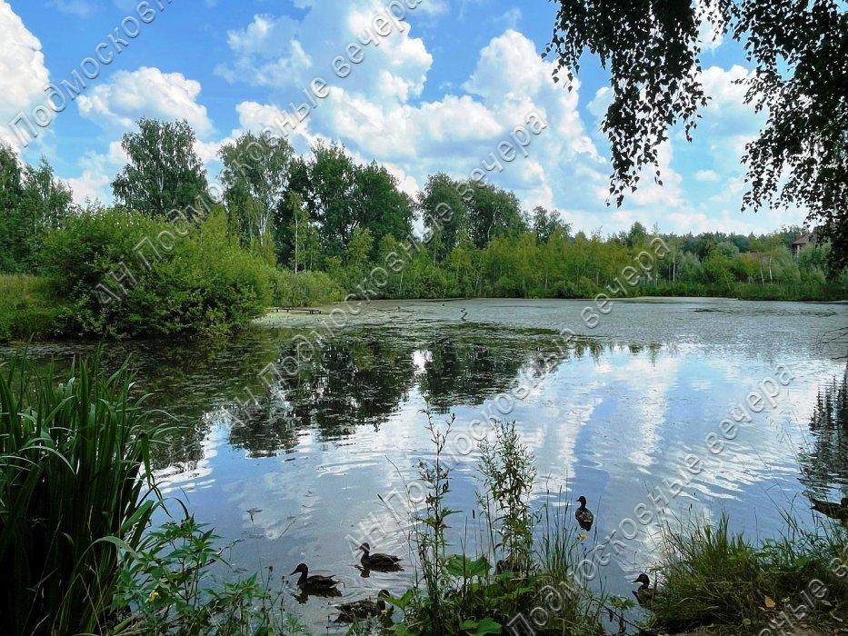 Продам дом в Чигасово, площадь 186 квм Недвижимость Московская  область (Россия)  Окружающая местность: Природа - вокруг лес в 200 метрах, рядом пруд в 2 минутах пешком