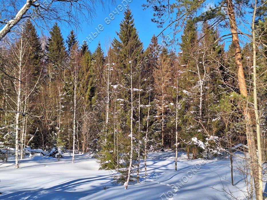 Продам дом в Духанино, площадь 140 квм Недвижимость Московская  область (Россия)  Окружающая местность: Природа - вокруг лес, рядом озеро в 300 м