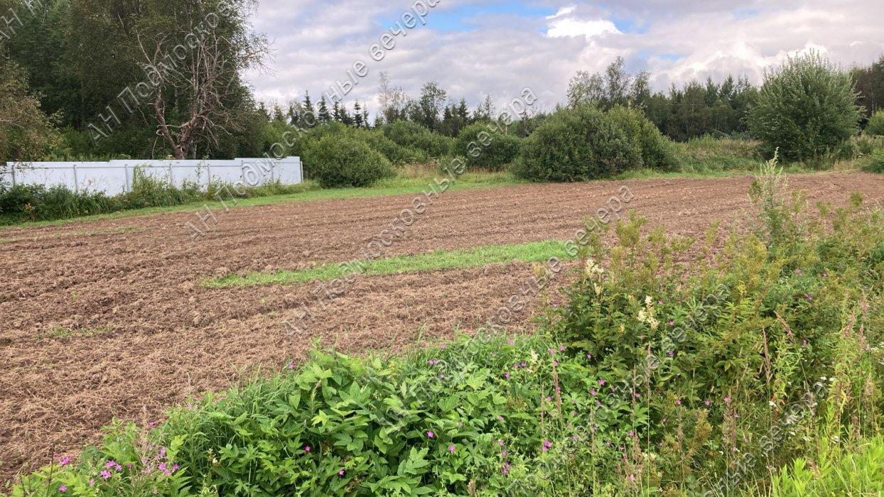 ������� �������