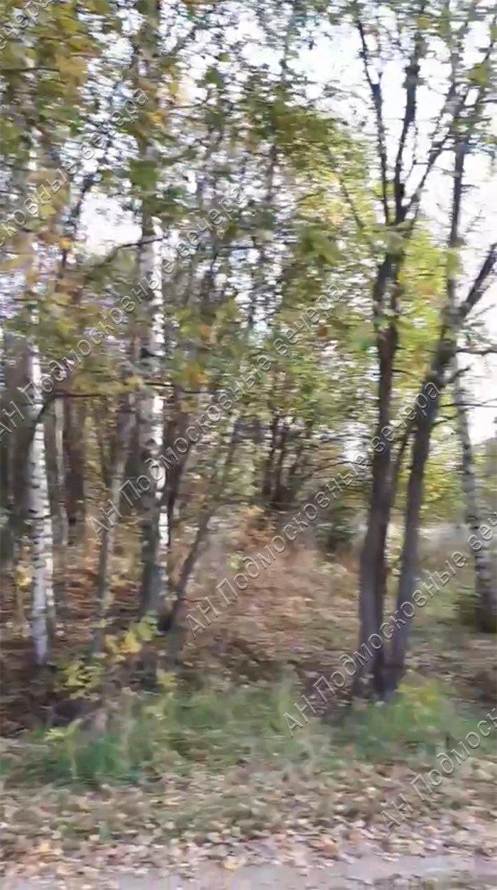 ������� �������